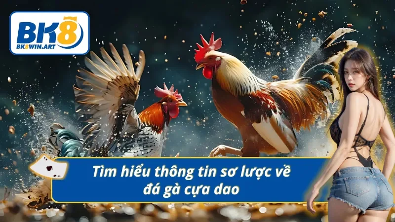Sơ lược thông tin về thể loại đá gà cựa dao nổi tiếng