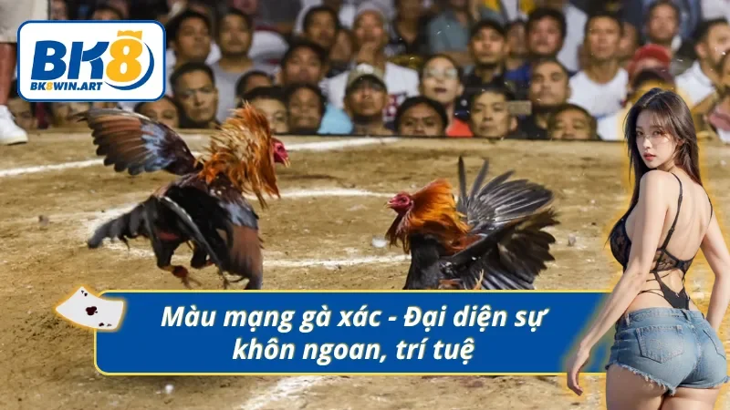 Đá gà mạng màu xám đại diện cho chiến kê trí tuệ