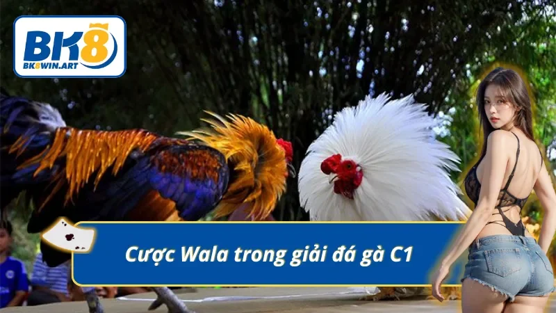 Kèo cược đội sân khách giành chiến thắng trong giải gà C1