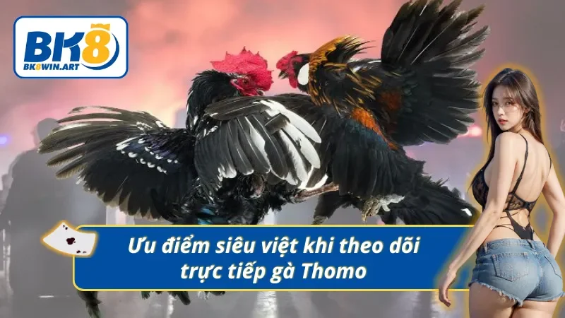 03 ưu điểm siêu việt chỉ có ở đá gà trực tiếp