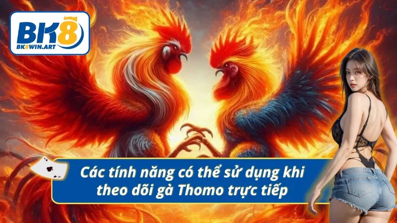 03 tính năng bổ ích mà các kê thủ có thể sử dụng khi theo dõi gà trực tiếp